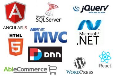 Efficion Consulting- Website Application Developer in St. Louis